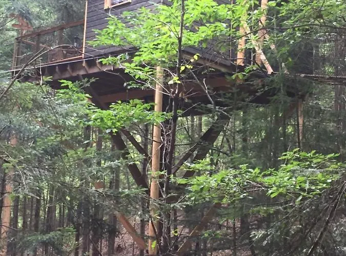 Cabane De L\'Ecureuil