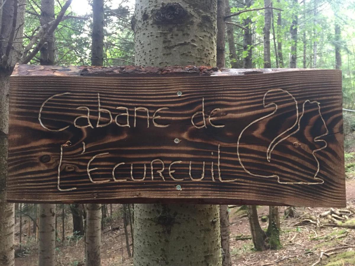 Luxuszelt De L'ecureuil *